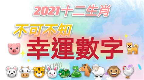 屬狗幸運數字|12生肖「幸運數字」曝光！專家：掌握好一生富貴